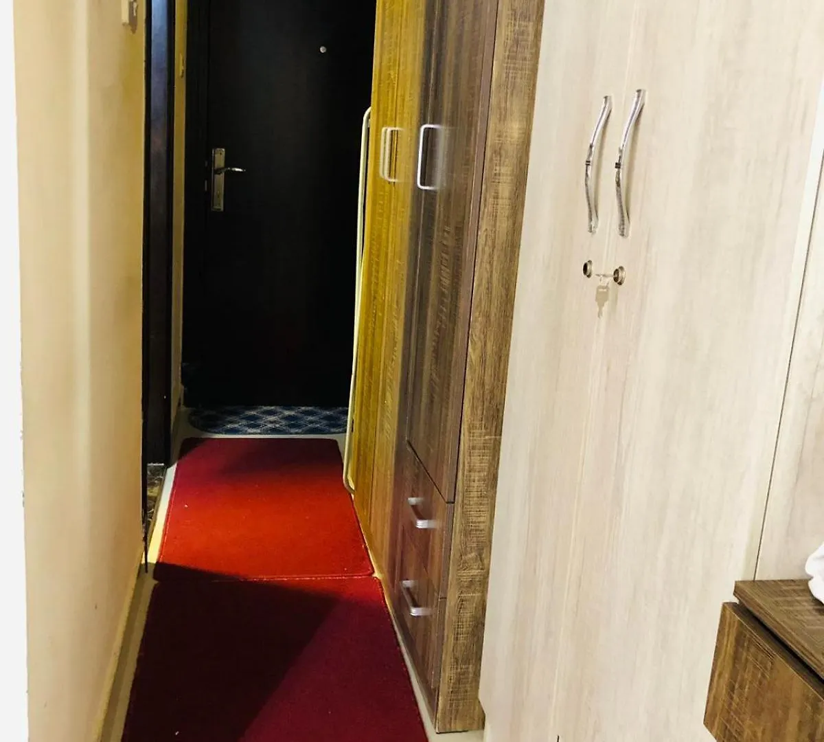 公寓 Premium Furnished Studio 沙迦